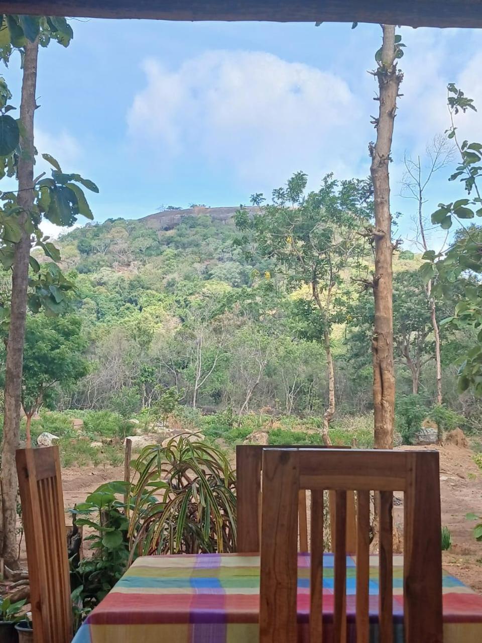 Апартаменты Pidurangala View Treehouse Сигирия Экстерьер фото
