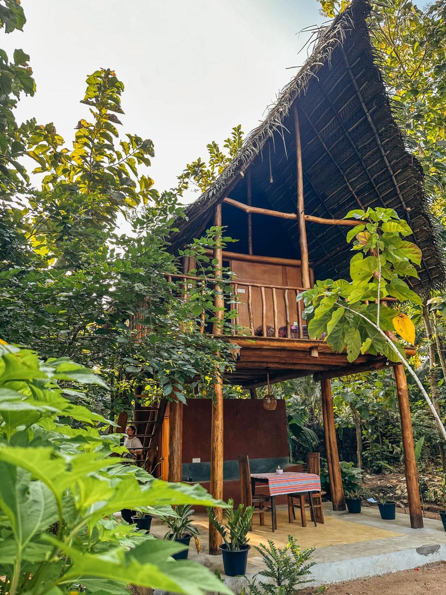 Апартаменты Pidurangala View Treehouse Сигирия Экстерьер фото