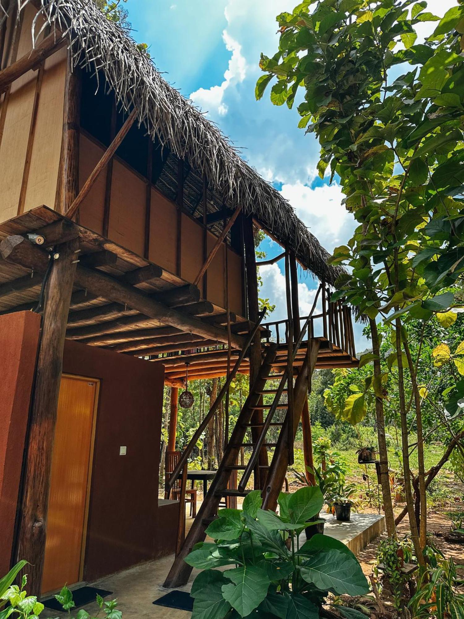 Апартаменты Pidurangala View Treehouse Сигирия Экстерьер фото