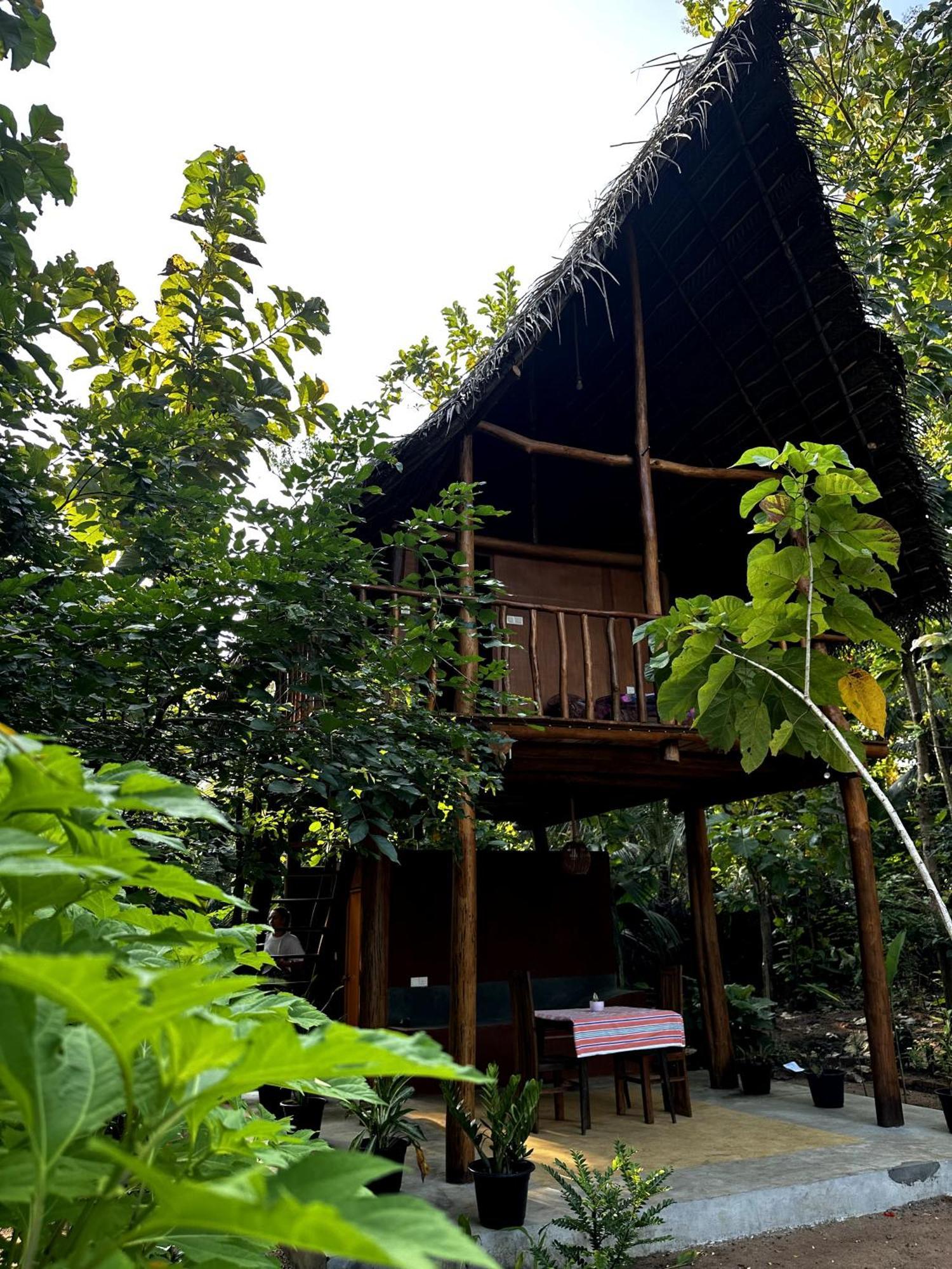 Апартаменты Pidurangala View Treehouse Сигирия Экстерьер фото