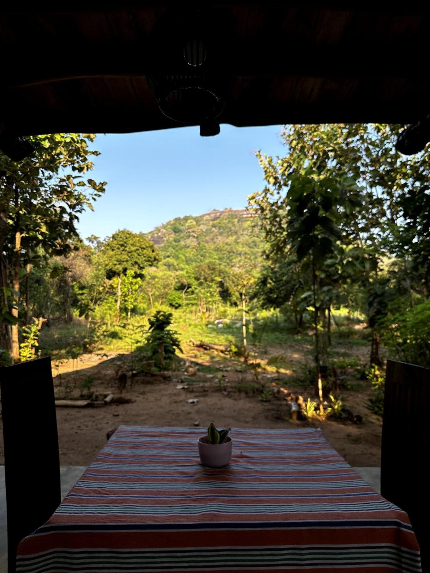Апартаменты Pidurangala View Treehouse Сигирия Экстерьер фото