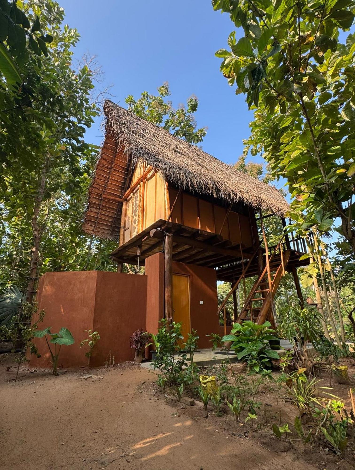 Апартаменты Pidurangala View Treehouse Сигирия Экстерьер фото
