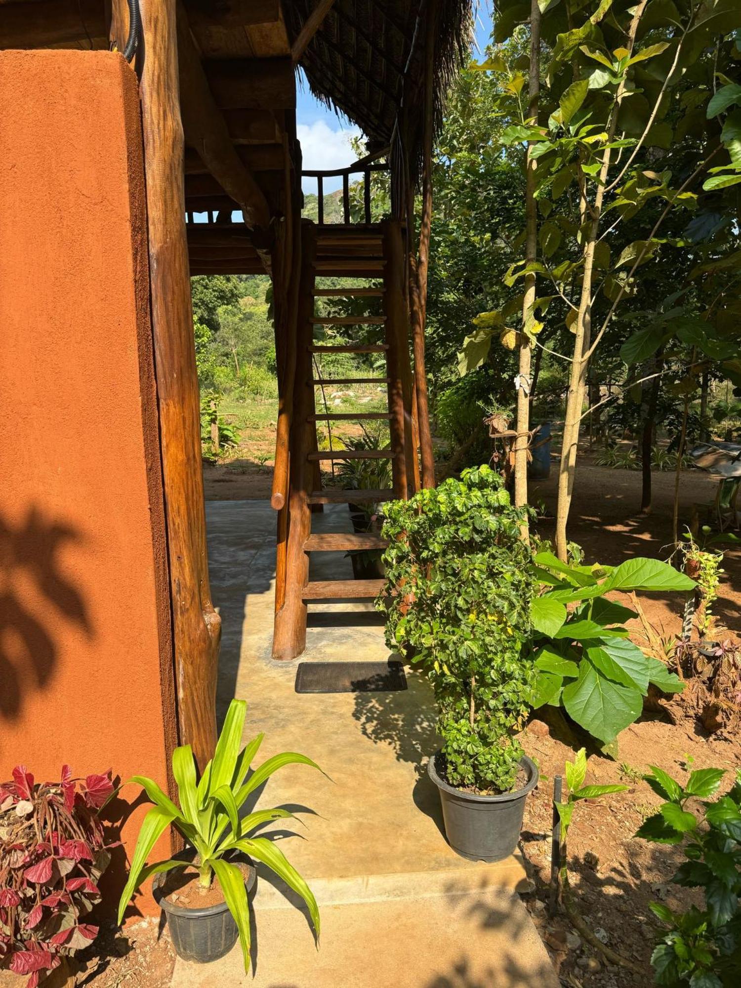 Апартаменты Pidurangala View Treehouse Сигирия Экстерьер фото